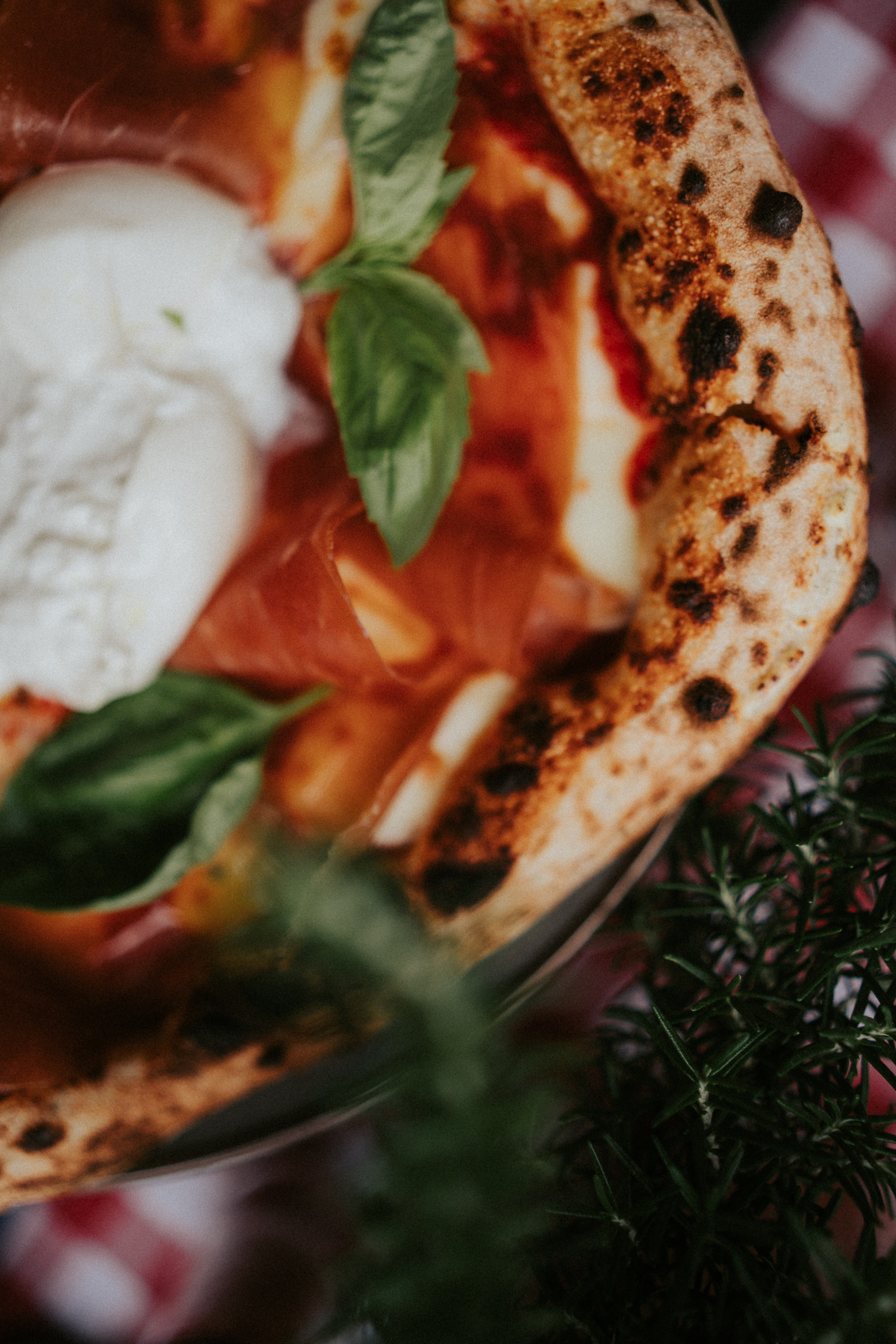 Prosciutto e Burrata pizza